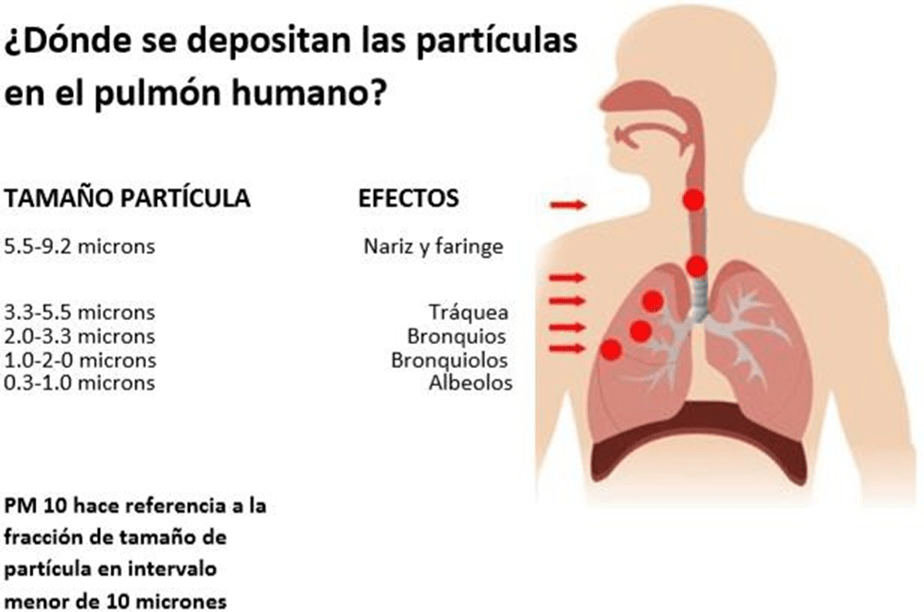 Jasun Filtracion